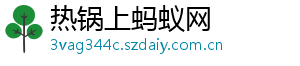 热锅上蚂蚁网